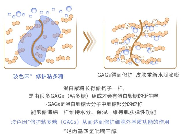 探索黑科技抗衰老明星成分玻色因